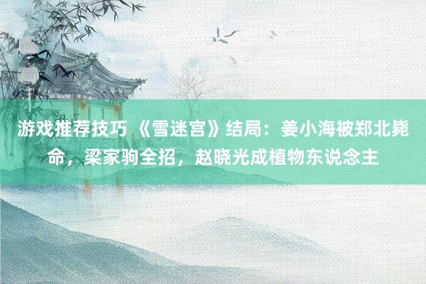 游戏推荐技巧 《雪迷宫》结局：姜小海被郑北毙命，梁家驹全招，赵晓光成植物东说念主