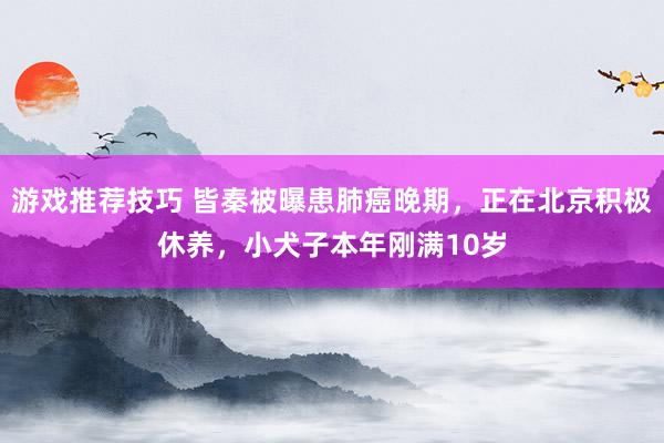 游戏推荐技巧 皆秦被曝患肺癌晚期，正在北京积极休养，小犬子本年刚满10岁