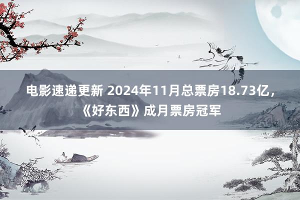 电影速递更新 2024年11月总票房18.73亿，《好东西》成月票房冠军