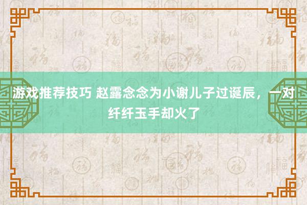 游戏推荐技巧 赵露念念为小谢儿子过诞辰，一对纤纤玉手却火了